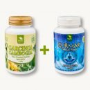 Garcinia Cambogia in Gurmar Premium - Natural Earth