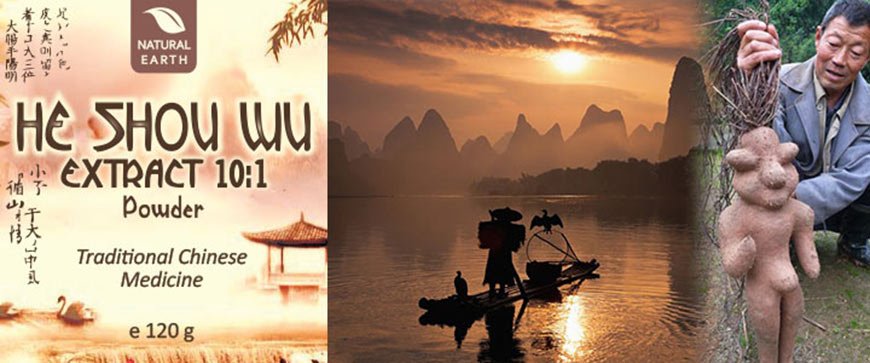 He Shou Wu Premium v prahu znamke Natural Earth